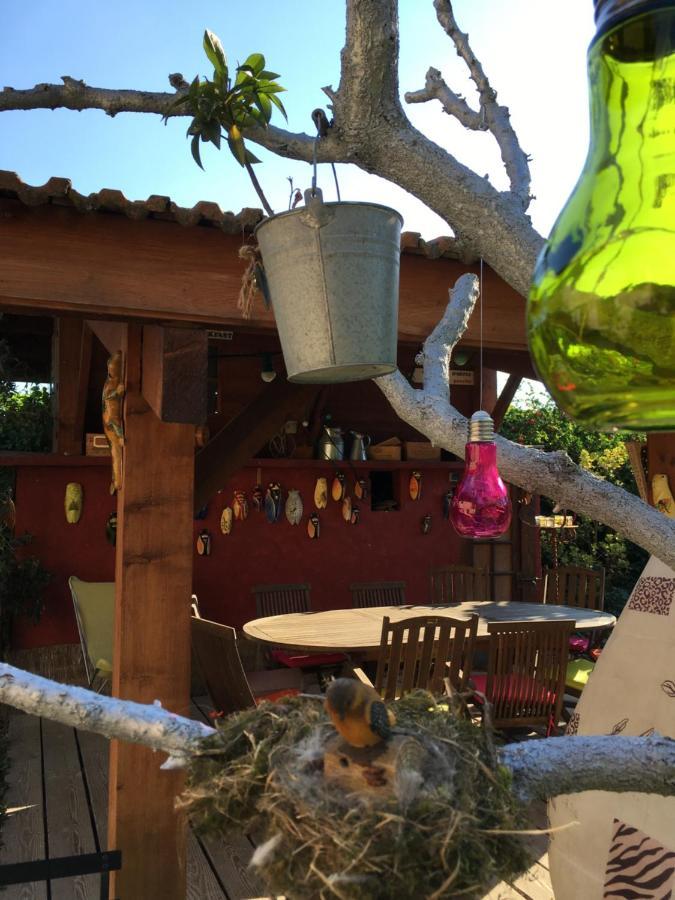 Les Pascals Bed & Breakfast Saint-Paul-les-Romans Ngoại thất bức ảnh