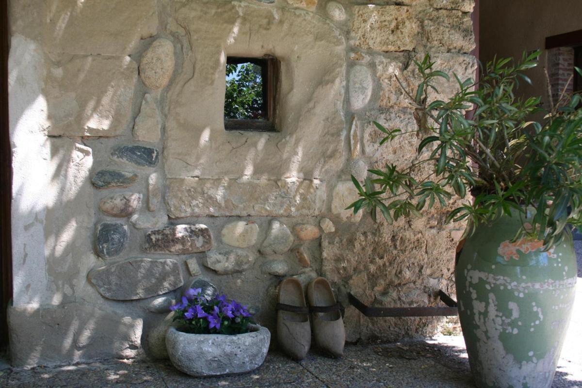 Les Pascals Bed & Breakfast Saint-Paul-les-Romans Ngoại thất bức ảnh