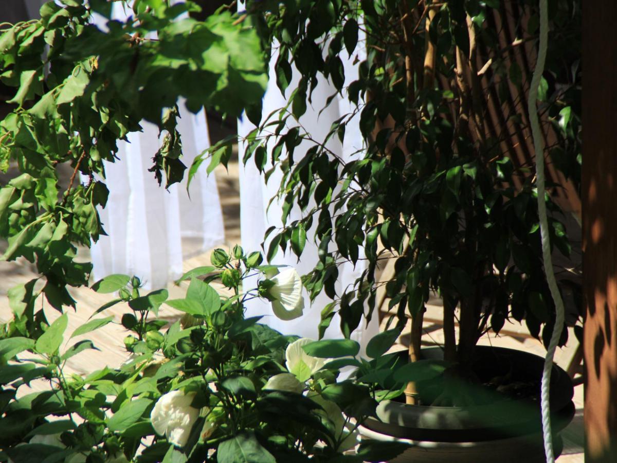 Les Pascals Bed & Breakfast Saint-Paul-les-Romans Ngoại thất bức ảnh