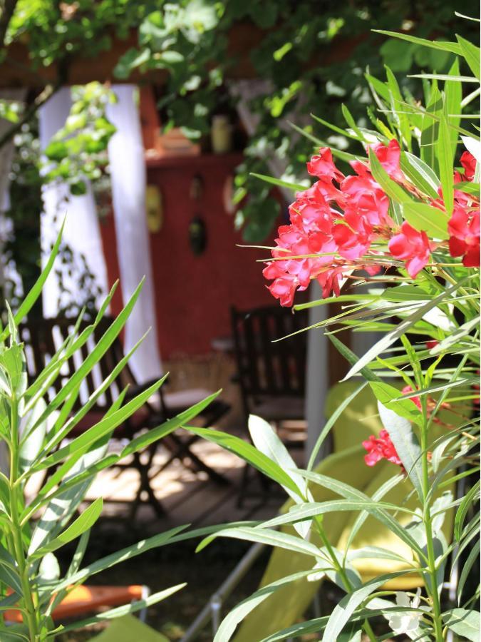 Les Pascals Bed & Breakfast Saint-Paul-les-Romans Ngoại thất bức ảnh
