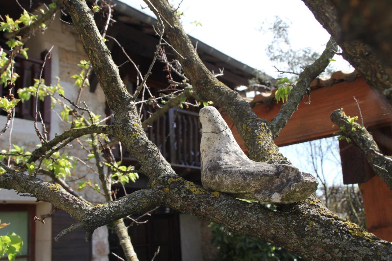 Les Pascals Bed & Breakfast Saint-Paul-les-Romans Ngoại thất bức ảnh